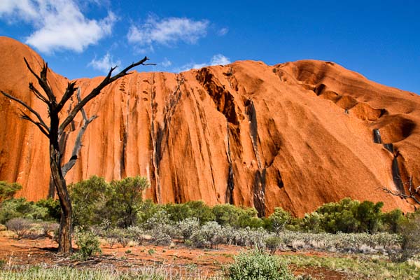 Travel photography Uluru base walk